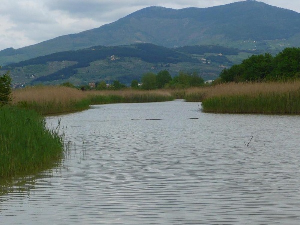 Hotel Indicatore Budget & Business At A Glance image 22